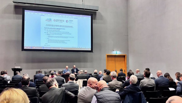 ep jornada celebrada en el marco de la feria genera 2024 por el sector cogenerador