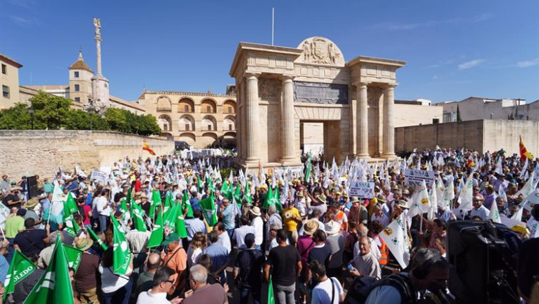 ep manifestacion en protesta por el impacto de las politicas de la ue en el campo andaluz y con ep manifestacion en protesta por el impacto de las politicas de la ue en el campo andaluz y con