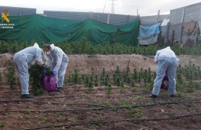 ep operacion rotavator 2la droga