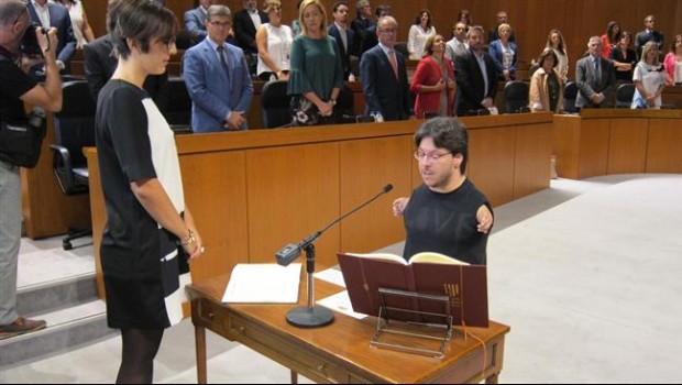 ep tomaposesiondiputadopodemos raul gaysustitucionechenique