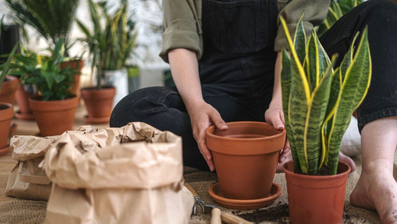 1615894891 dijardinonlinecom 1