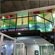 1628220144 vet co interior