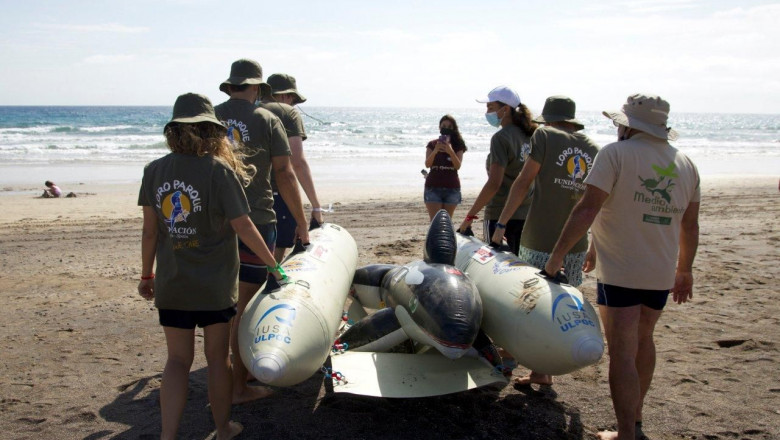 1630330231 simulacro varamiento ponton lpf