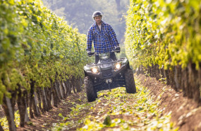 2022 yamaha yfm450fwbd 22 eu olive green action 002 03 20250716155645 2022 yamaha yfm450fwbd 22 eu olive green action 002 03 20250716155645