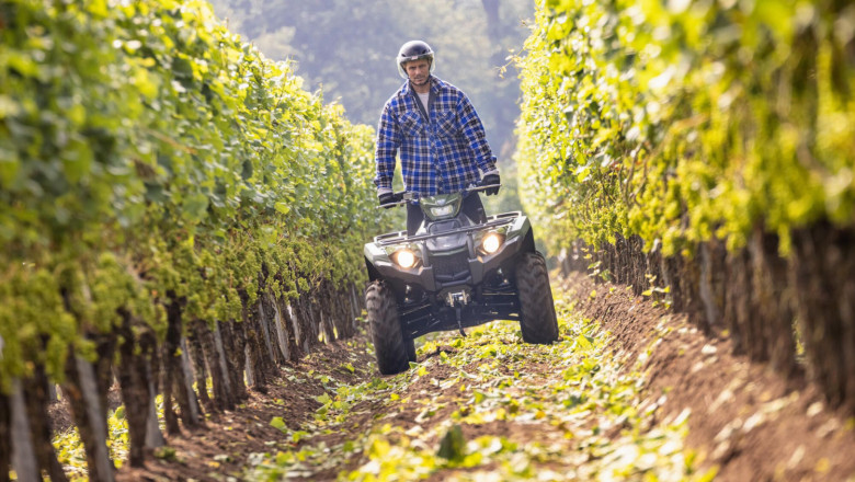 2022 yamaha yfm450fwbd 22 eu olive green action 002 03 20250716155645 