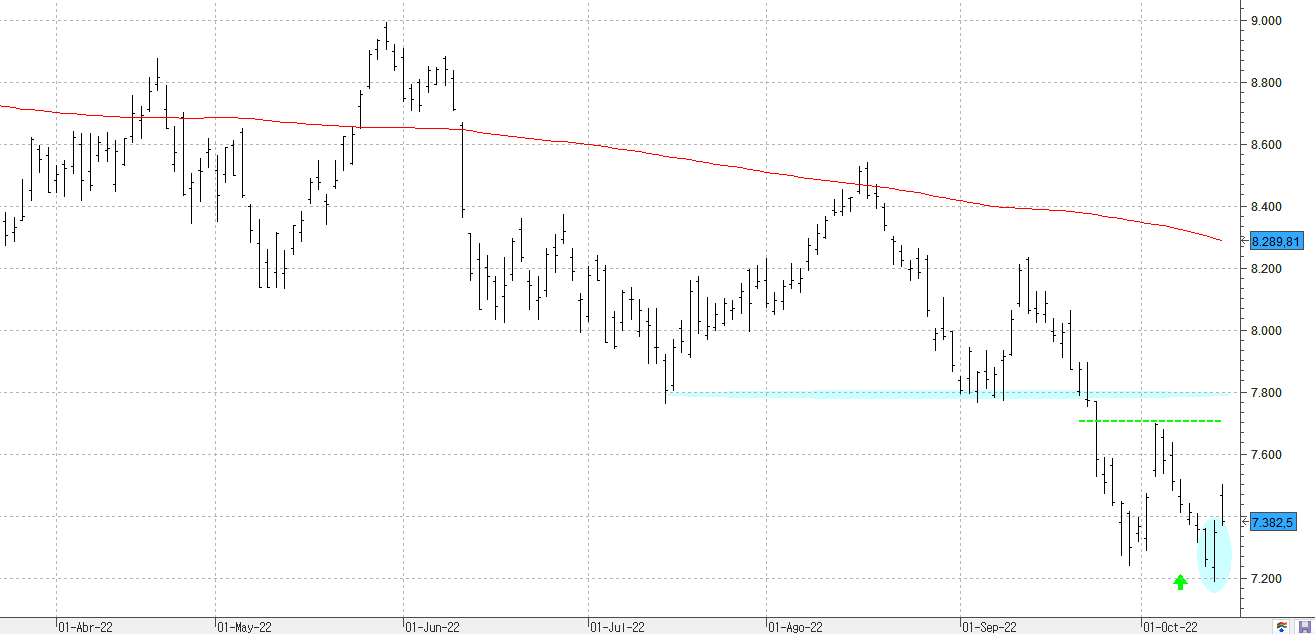 c141022ibex