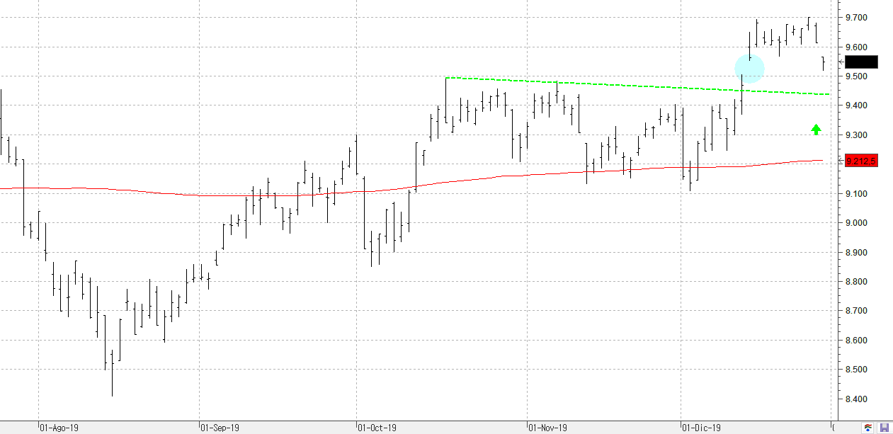 c311219ibex