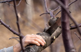 cutting g1ee1da0cf 1280