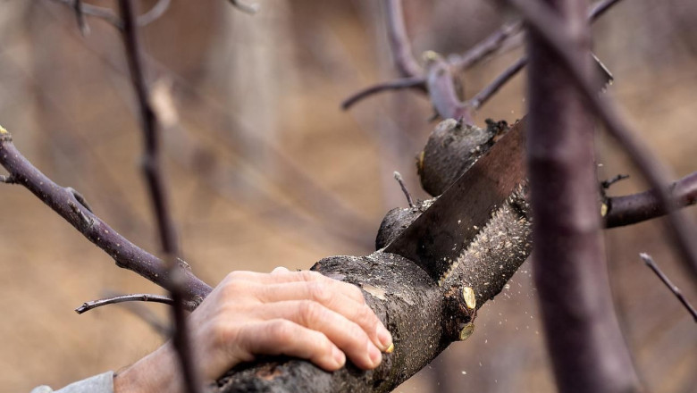 cutting g1ee1da0cf 1280