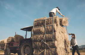 ep agricultor y su tractor en el campo