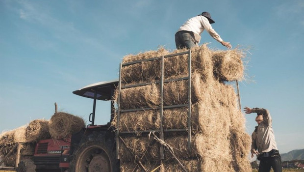ep agricultor y su tractor en el campo