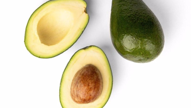 ep aguacate 20250422112003 ep aguacate 20250422112003