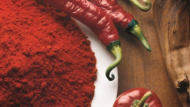 ep archivo pimiento para pimenton ep archivo pimiento para pimenton