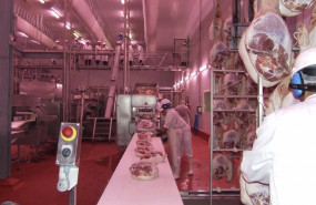 ep brf disminuye su beneficio un 282 en el tercer trimestre