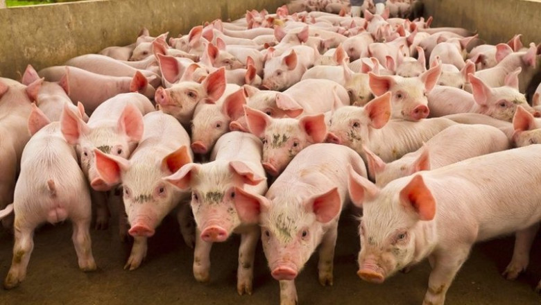 ep el gobierno de brasil apoya a la industria carnica en su boicot a carrefour felicite al sector ep el gobierno de brasil apoya a la industria carnica en su boicot a carrefour felicite al sector
