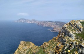 ep illas cies