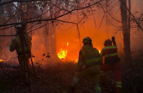 ep incendio forestal en cantabria