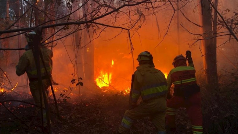 ep incendio forestal en cantabria ep incendio forestal en cantabria