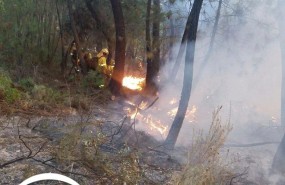ep incendiocalanas huelva