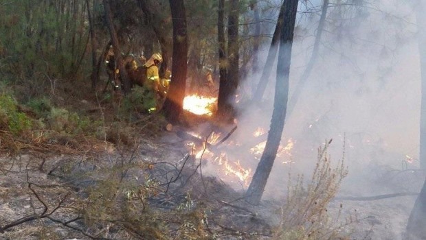 ep incendiocalanas huelva