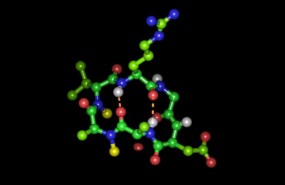 ep peptido