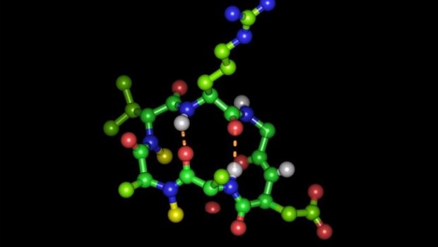 ep peptido