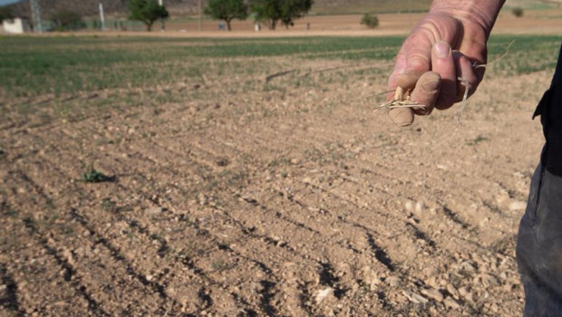 ep un agricultor muestra la tierra seca en murcia