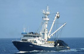 imagen cedida por la asociacin de grandes atuneros congeladores agac 