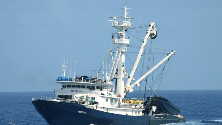 imagen cedida por la asociacin de grandes atuneros congeladores agac 