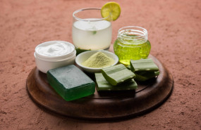 productos aloe vera 