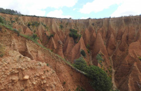 1620976113 dscn5894 copia 