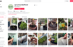 captura de pantalla 2022 10 31 a las 83513 captura de pantalla 2022 10 31 a las 83513