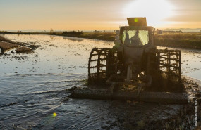 ep archivo   agricultur afectado por la dana