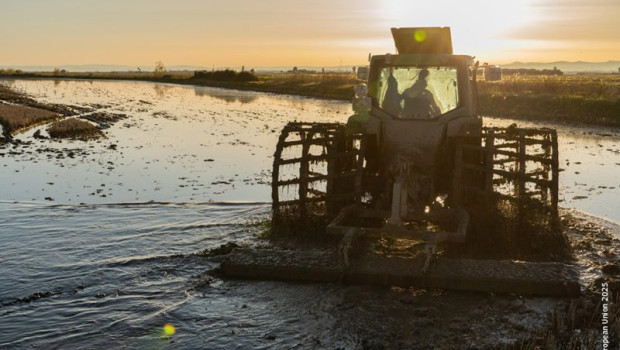 ep archivo   agricultur afectado por la dana