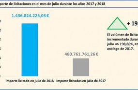 ep evolucionlas licitacionesmesjulio durante 20172018