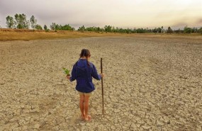 ep informe cambio climaticosalud de dkvecodes