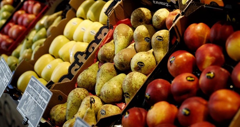 La producción de manzana aumentará este año un 14% ya la de pera, un 4% | Eduardo Parra - Europa Press ep la produccionmanzana aumentara este ano14 yade pera un 4