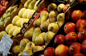 ep la produccionmanzana aumentara este ano14 yade pera un 4