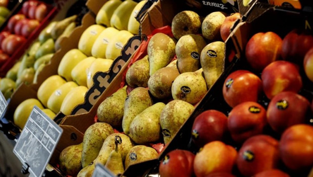 ep la produccionmanzana aumentara este ano14 yade pera un 4
