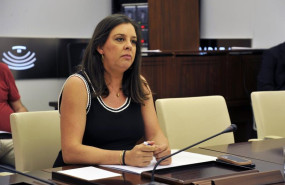 ep la secretaria general de economia empleo y comercio celina perez en la comision parlamentaria del