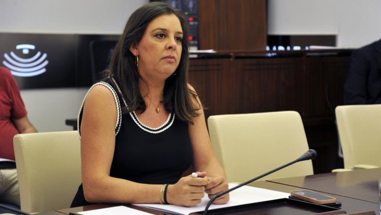 ep la secretaria general de economia empleo y comercio celina perez en la comision parlamentaria del ep la secretaria general de economia empleo y comercio celina perez en la comision parlamentaria del
