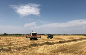 ep mondelez international estimacosecha20000 toneladastrigola campana 2019-20 ep mondelez international estimacosecha20000 toneladastrigola campana 2019-20