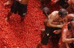 ep tomatinabunol