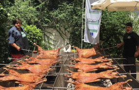 ep tradicional asado de corderex