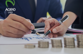 agrousd presenta nuevas garantas de seguridad y transparencia para usuarios globales