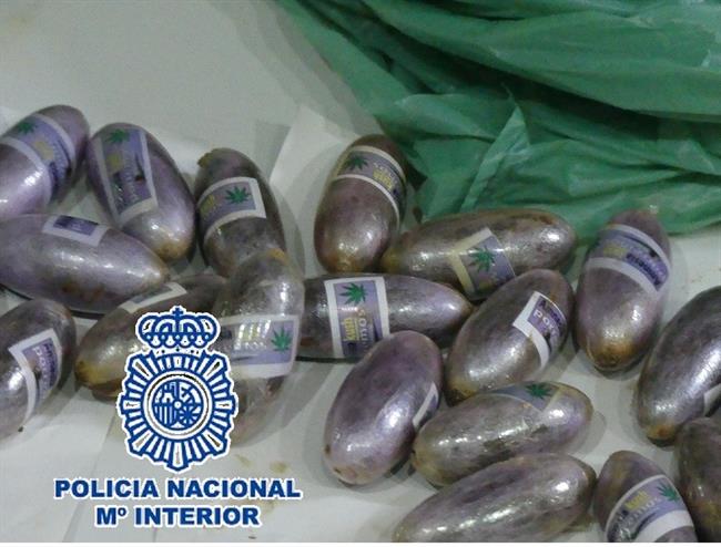 Bellotas hachís droga estupefacientes | CNP ep bellotas hachis droga estupefacientes