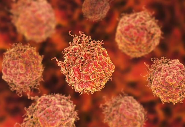 Células en el cáncer de próstata | IMPERIAL COLLEGE LONDON ep celulascancerprostata