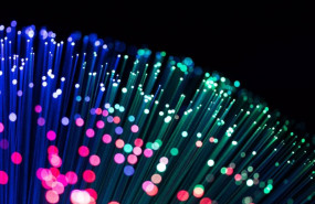 ep imagen en detalle de un cable de fibra optica