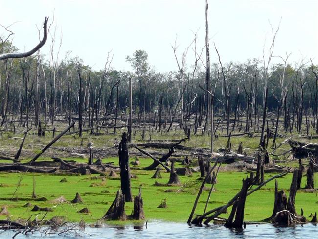 ep llanura inundable arrasadafuego