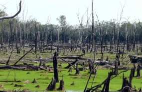 ep llanura inundable arrasadafuego